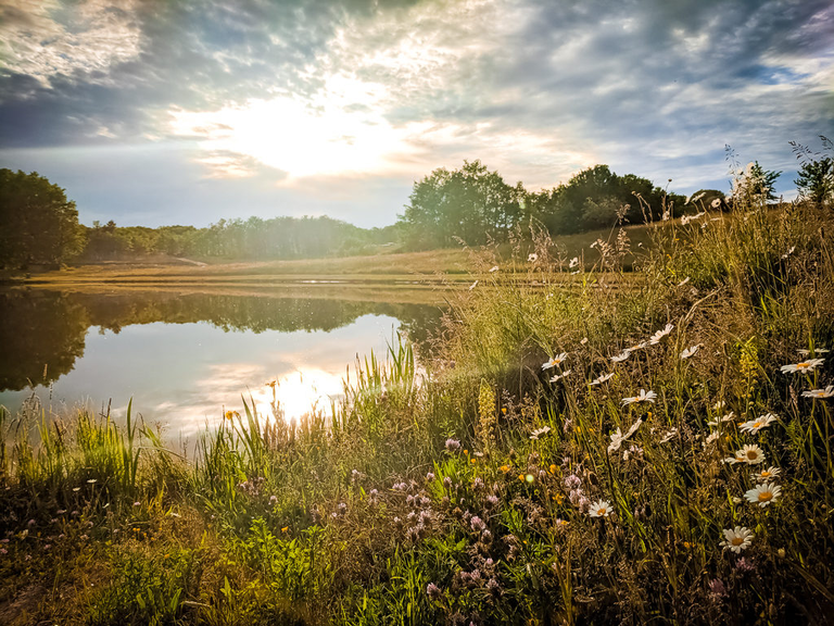 etang p&ecirc;che soleil